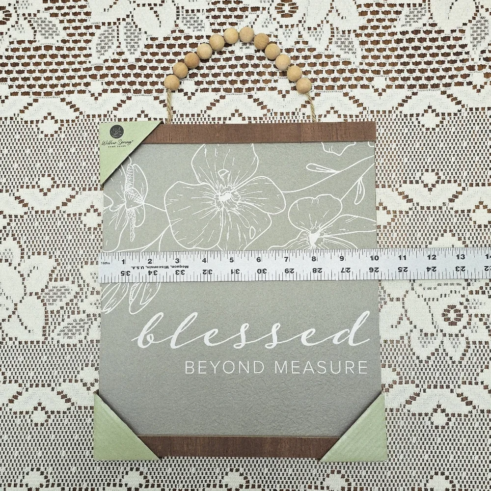 NEW Sage Green Blessed Beyond Measure Sign Willow Spring Hanging Wall Plaque